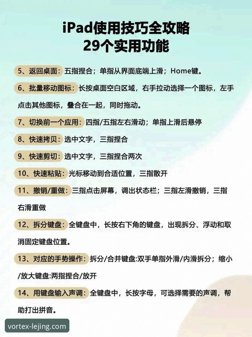 为什么新手需要这份乐竞便捷服务使用指南？